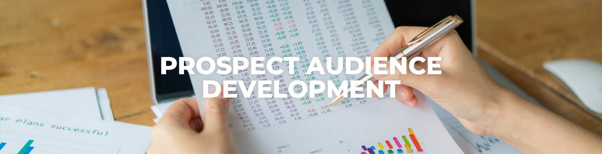Prospect Audience Development